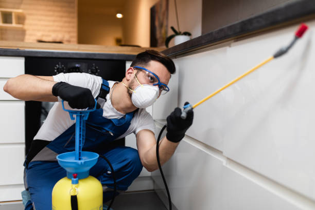 Best Termite Control Services  in Hoboken, NJ