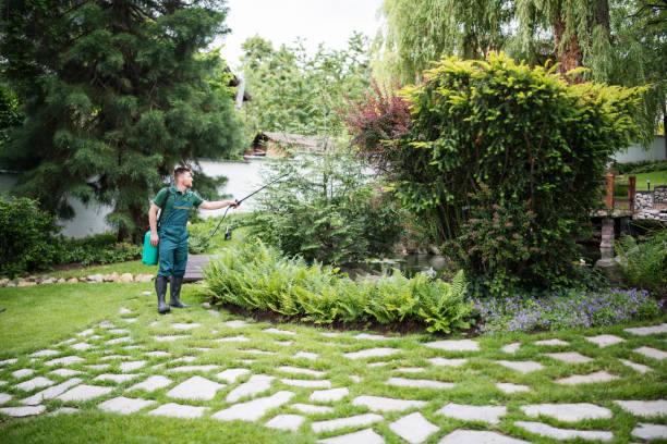 Best Local Pest Control Services  in Hoboken, NJ