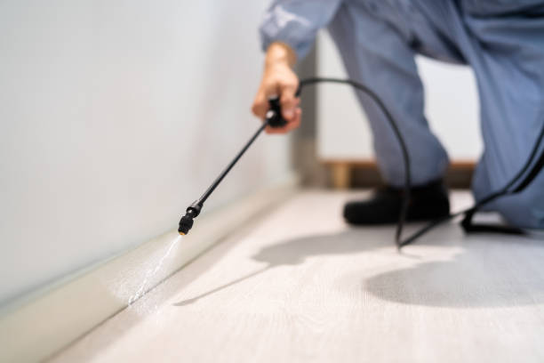 Flea Control Services in Hoboken, NJ