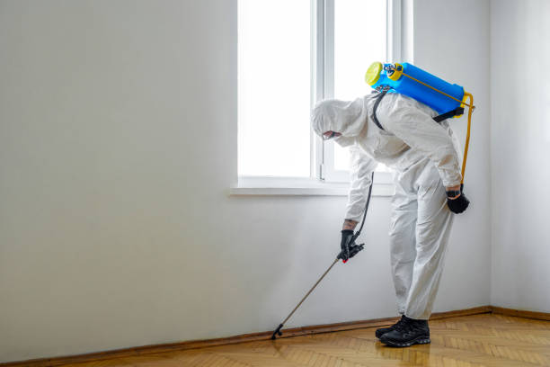 Best Cockroach Control Services  in Hoboken, NJ