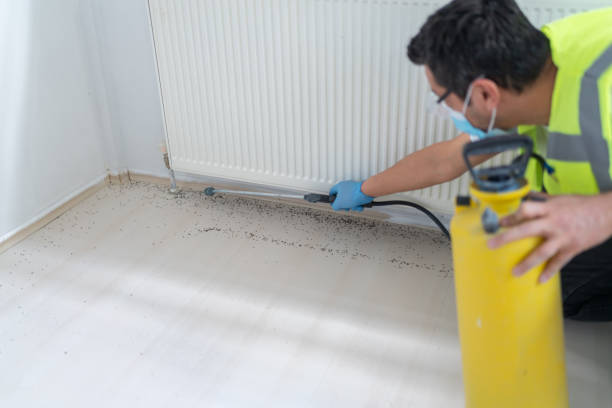 Best Best Pest Control Companies  in Hoboken, NJ